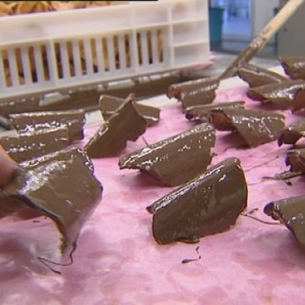 Histoire D Un Lieu La Chocolaterie Pelen De Lons Le Saunier