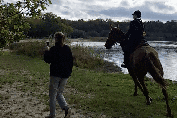 Alors que le cerf s'était réfugié dans l'étang des Bois, à Vieilles-Maisons-sur-Joudry, en forêt d'Orléans, la chasse à courre a continué. Une pratique ne respectant pas la loi, comme le dénoncent les militants d'AVA France, venus documenter la scène. Capture d'écran des vidéos d'AVA France.