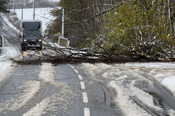 A La Ferrière, un arbre tombé sur la chaussée a rompu la ligne électrique durant la tempête Caetano.