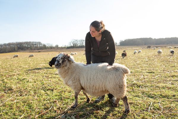 Fermes en vie facilite l'installation de la nouvelle génération d'agriculteurs