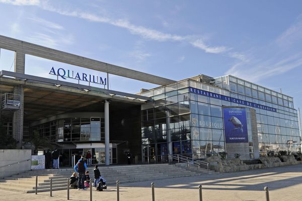 L'aquarium de La Rochelle.