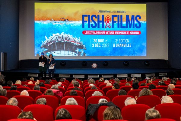 Lors de cette 4e édition du Fish and Films festival de Granville, 27 courts-métrages seront projetés au grand public.