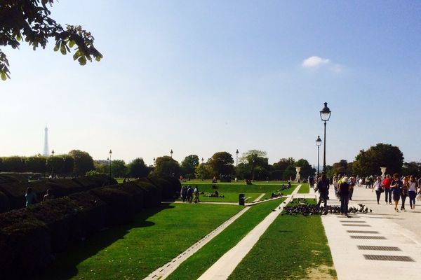 Le Jardin des Tuileries, à Paris.