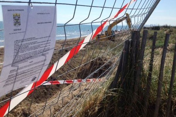 La plage de Portiragnes fermée pour consolider la dune