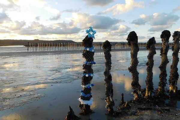 Dans la baie de l'Arguenon à Saint-Jacut-de-la-Mer 