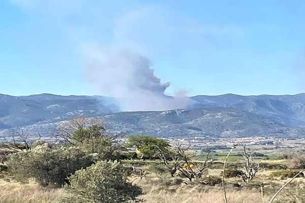 Saint-Jean-de-Fos (Hérault) - un feu de pinède s'est déclaré en fin d'après-midi - 5 avril 2023.