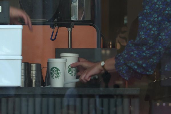 VIDÉO. "Une véritable locomotive", ville "uniformisée et standardisée" : l'arrivée des enseignes KFC et Starbucks divise Limoges