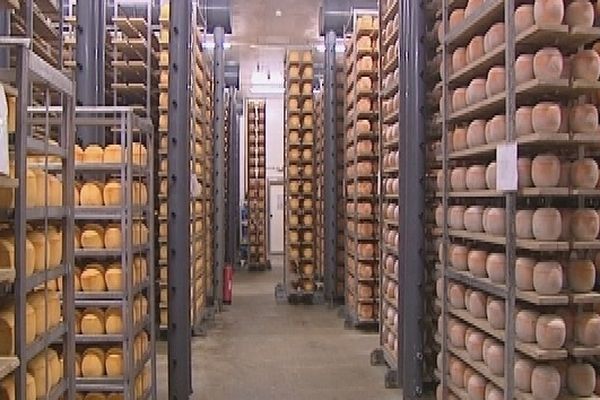 La mimolette normande, produite par la coopérative Isigny Sainte-Mère