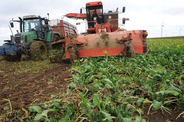 Les agriculteurs craignent les répercussions concrètes du projet de loi EGA - Photo d'illustration