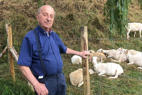 Georges Barberolle aime bien les moutons, mais il refuse de les voir en face de chez lui