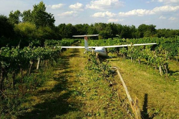 Après avoir décollé de l'aérodrome de Saucats, le planeur a eu un problème moteur et s'est posé dans un vignoble de Romagne. 