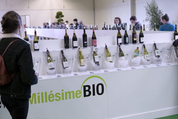 Le salon Millésime Bio se tient pendant trois jours à Montpellier - Photo d'archives, - Le 28 février 2022.