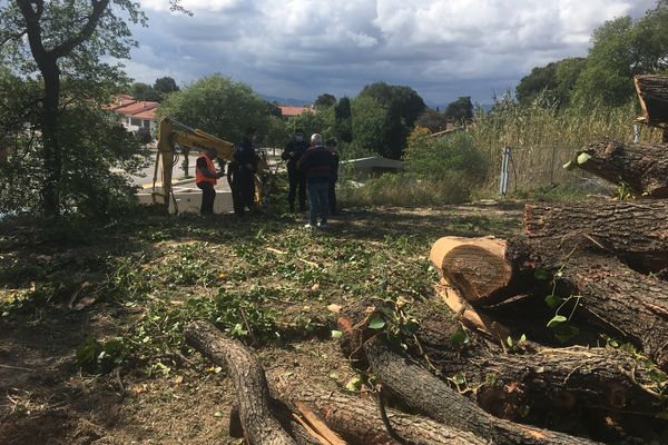 Les résidents du quartier de l'université à Perpignan s'opposent à l'abattage de chênes centenaires - mercredi 21 avril 2021.