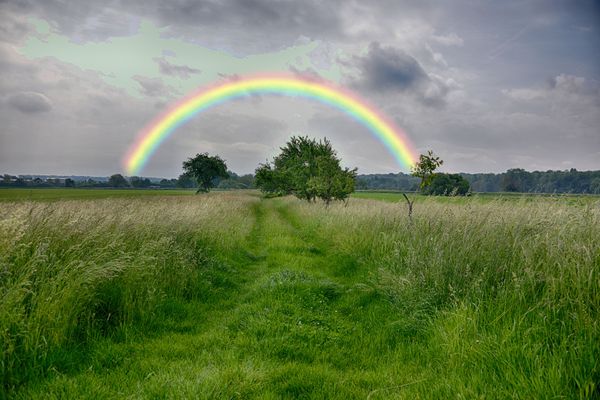 Un peu de couleurs dans le gris du ciel 