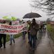 "Des panneaux sur les toits, pas dans les bois", réclame le collectif.