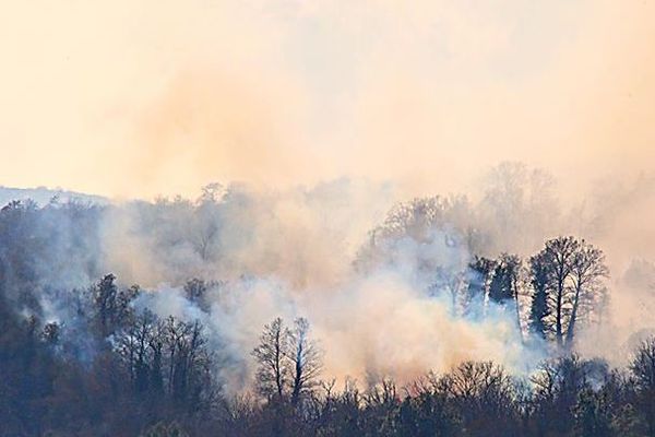 Les incendies, comme celui-ci près du village de Carcheto-Brustico il y a quelques mois, font chaque année des ravages en Corse