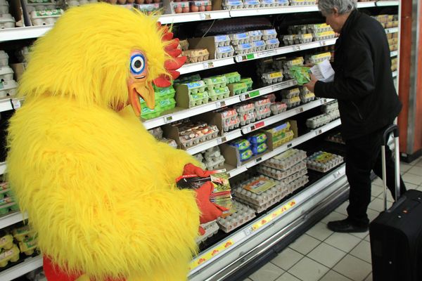 Action de l'association L214 auprès d'une chaîne de supermarché de Montpellier pour retirer les oeufs issus d'élevage en batterie.