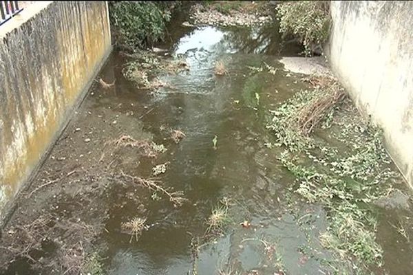 Un ruisseau très pollué