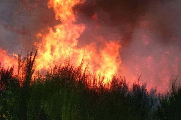 L'incendie à Saint-Sylvestre n'est toujours pas maîtrisé. Des renforts de Creuse et de Corrèze ont été envoyés sur place pour soutenir les pompiers de la Haute-Vienne. 