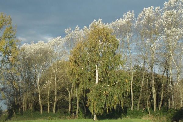 Photo prise à Steenwerck