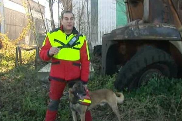 Avec un odorat 40 fois supérieur à l'homme, le chien balaye la zone en un temps record