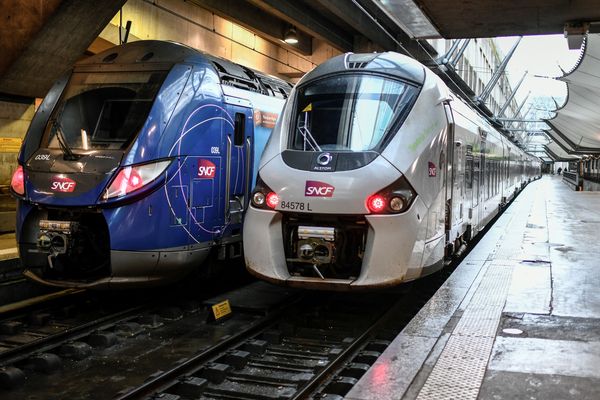 Des TER à la gare Montparnasse à Paris, illustration.