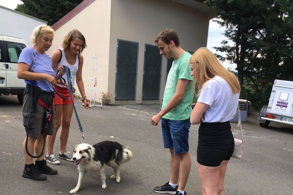 A la SPA de Polignac (Haute-Loire) une salariée du refuge accueille des adoptants. 