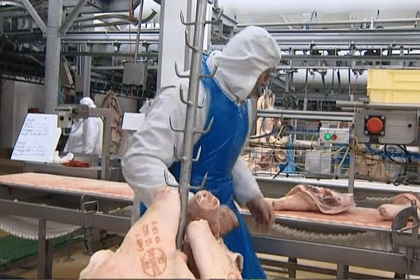 Abattoir Cooperl Montfort-sur-Meu (35)