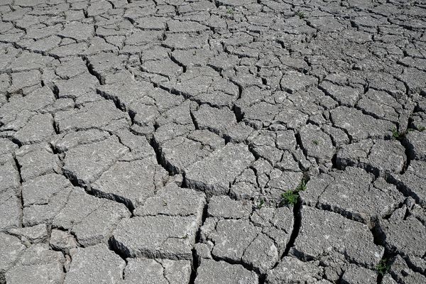 A la suite de la sécheresse de 2018, le préfecture de la Marne a reconnu l'état de catastrophe naturelle pour 20 communes le 9 août 2019