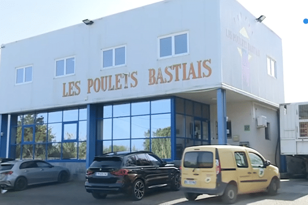 Entreprise "Les poulets bastiais", novembre 2020