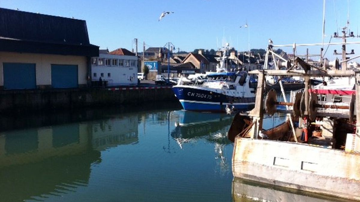 Port En Bessin C Est Parti Pour La Coquille