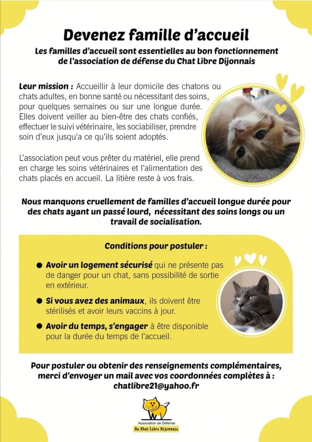 chat cote dor