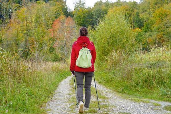 Pour la balade en forêt ce samedi, vêtement chaud de rigueur !