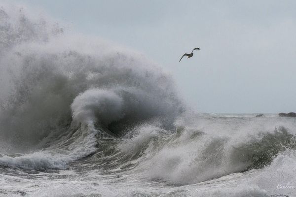 Survol sur les vagues à Lesconil