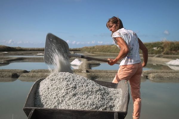 Morgane Warrion est paludière à Guérande. "Ici le patron, c'est le soleil"