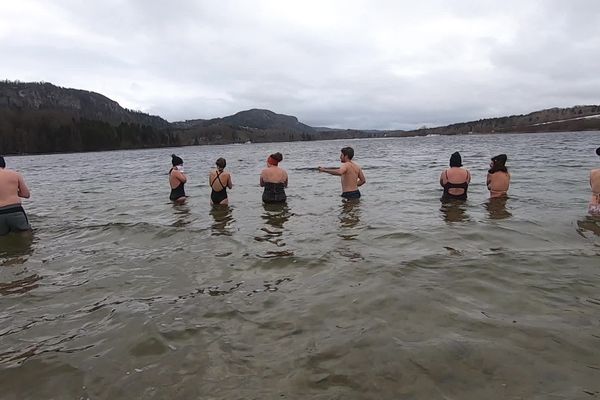 Les Sangliers Aquatiques se baignent dans des eaux glacées de novembre à mars.