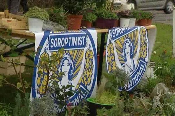 Collecte de plantes le 9 novembre 2014 pour un jardin thérapeuthique à Nancy Brabois