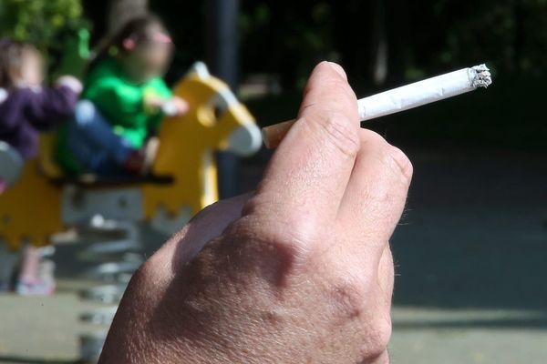 Au-delà des aires de jeux, où il est interdit de fumer depuis 2014 à Strasbourg, la cigarette est désormais exclue de tous les parcs de la ville. Une première dans une grande ville française.