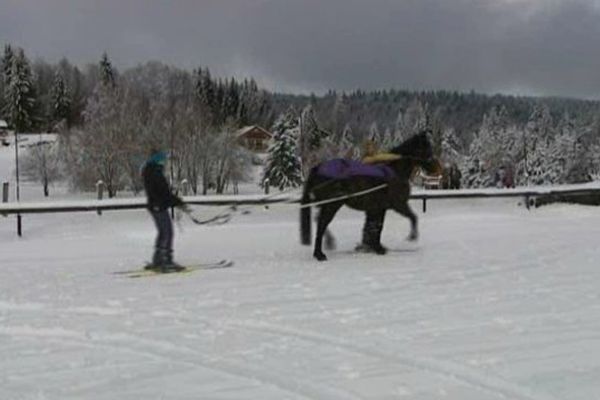 Les amateurs peuvent pratiquer le ski joëring dès 6 ans. 