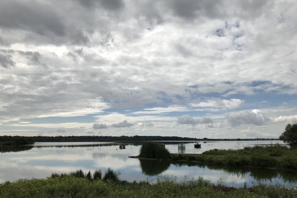 Lac de Grand-Lieu (44)