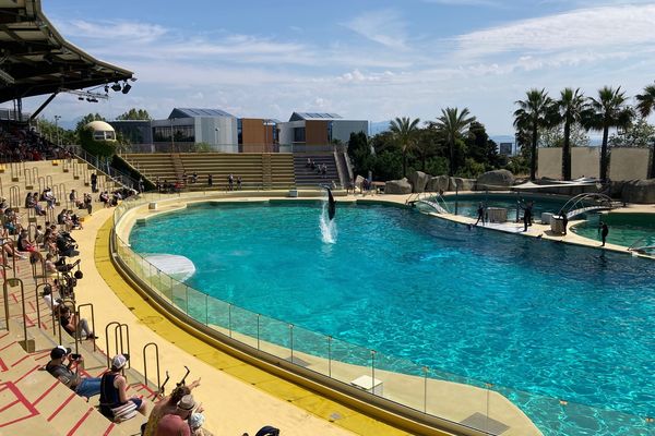 Marineland à Antibes, l'un des deux parcs animaliers abritant encore des mammifères marins en France.