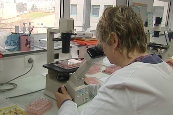 Chaque jour, l'équipe du Centre de Biologie de Lyon observe l'évolution de l'"influenza". 