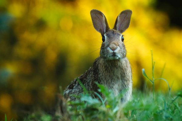 Quel temps pour ce week-end de Pâques ? 