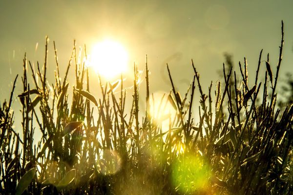 Météo France a placé la région en vigilance orange