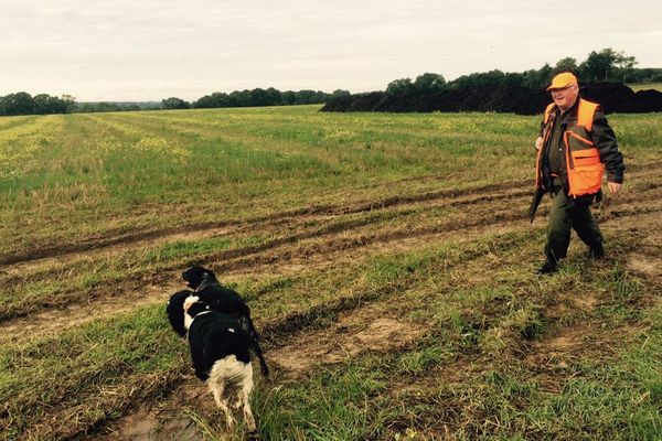 La saison de la chasse a débuté ce dimanche dans le Calvados et la Seine-Maritime