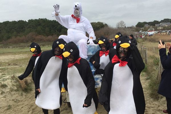 Des pingouins s'étaient donnés rendez-vous pour cette 20ième baignade des Otaries de Rhuys