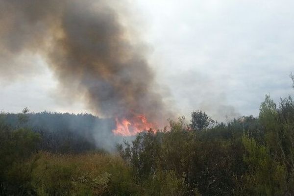 L'écobuage en cours dans la réserve du Pinail dans la Vienne