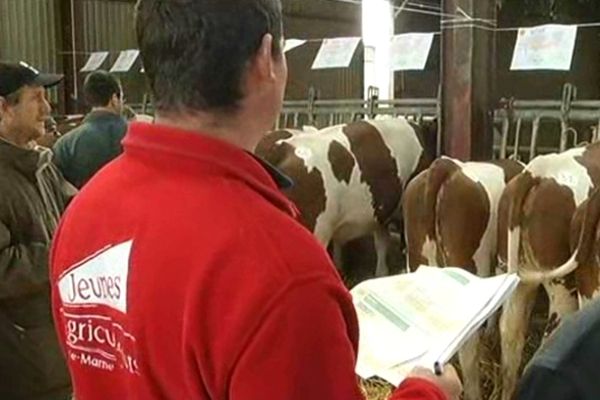 La vente a eu lieu selon le principe de la "vente à la bouteille" : les clients intéressés glissent leur enchère dans une bouteille devant la vache