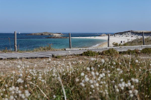 L’archipel des Glénan : rencontre avec ces îliens qui agissent pour donner vie à cet archipel et pour préserver ce lieu fragile et magique.