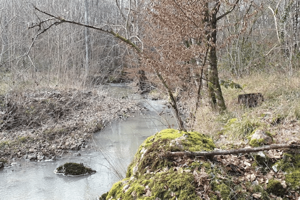 Le Montison est un tout petit cours d'eau (photo prise en l'absence de pollution)